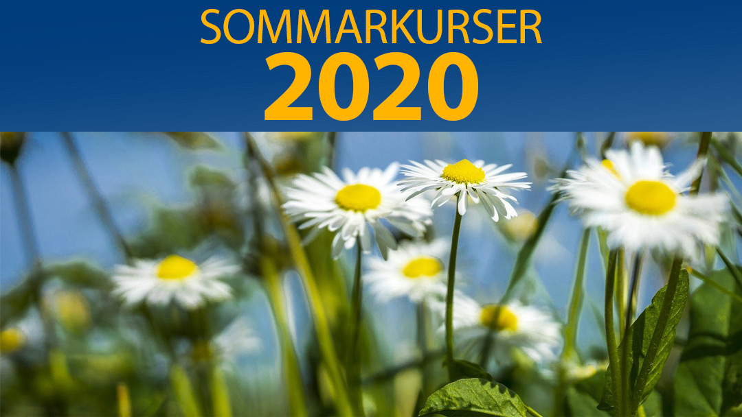 Sommarkurser 2020