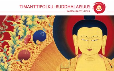 YLEISÖLUENTO MEDITAATIO